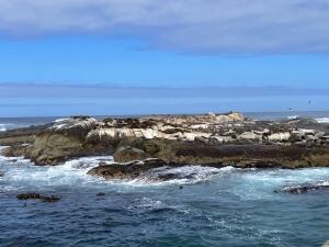 FE002_20251016TYO_ (180).jpg