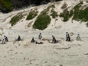 FE002_20251016TYO_ (183).jpg