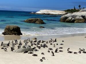 FE002_20251016TYO_ (184).jpg