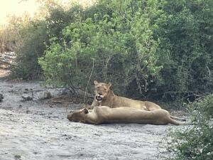 FE002_20251016TYO_ (19).jpg