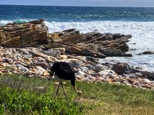 FE002_20251016TYO_ (193).jpg