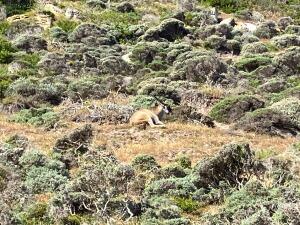 FE002_20251016TYO_ (194).jpg