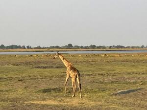 FE002_20251016TYO_ (20).jpg