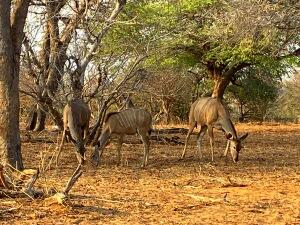 FE002_20251016TYO_ (21).jpg