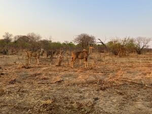 FE002_20251016TYO_ (31).jpg