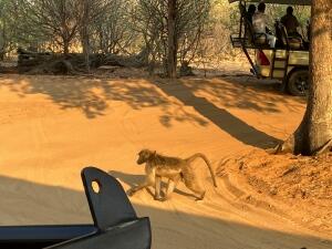 FE002_20251016TYO_ (32).jpg