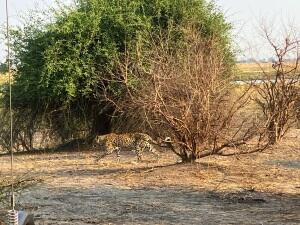 FE002_20251016TYO_ (33).jpg