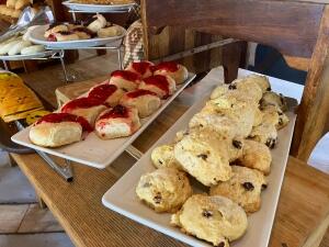 FE002_20251016TYO_ (39).jpg