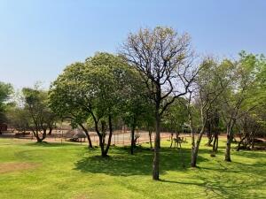 FE002_20251016TYO_ (43).jpg