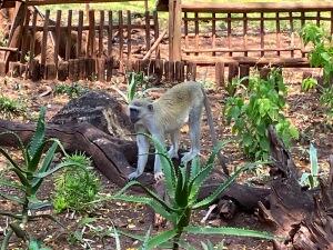 FE002_20251016TYO_ (53).jpg