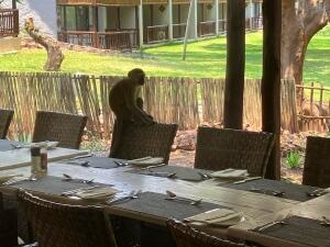 FE002_20251016TYO_ (54).jpg