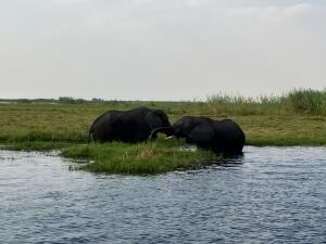 FE002_20251016TYO_ (59).jpg