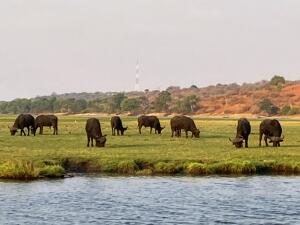 FE002_20251016TYO_ (60).jpg