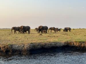 FE002_20251016TYO_ (61).jpg