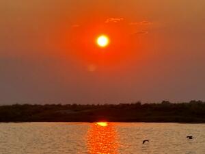 FE002_20251016TYO_ (62).jpg