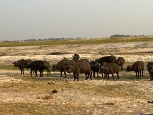 FE002_20251016TYO_ (71).jpg