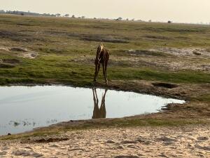 FE002_20251016TYO_ (72).jpg