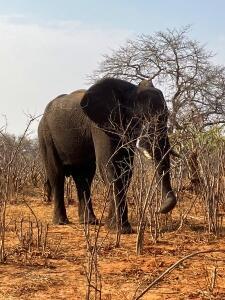 FE002_20251016TYO_ (74).jpg