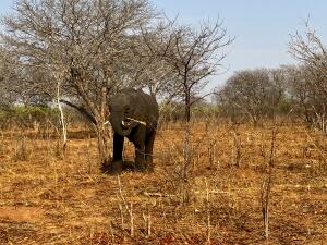 FE002_20251016TYO_ (75).jpg