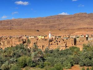 FE105_20241023TYO_ (116).jpg
