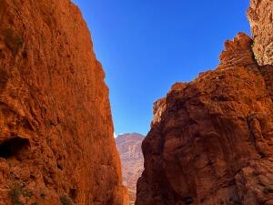 FE105_20241023TYO_ (121).jpg