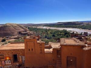 FE105_20241023TYO_ (149).jpg