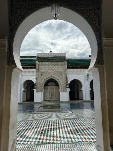 FE105_20241023TYO_ (64).jpg