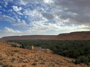 FE105_20241023TYO_ (95).jpg
