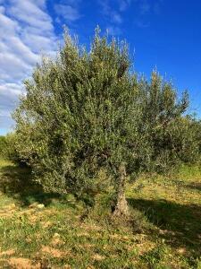 FE682_20250129TYO_ (120).jpg