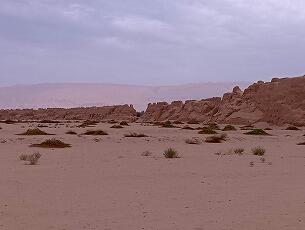 FR084_20260902_OSA260905115842093.jpg