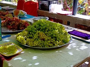 FR084_20260902_OSA260905141819964.jpg