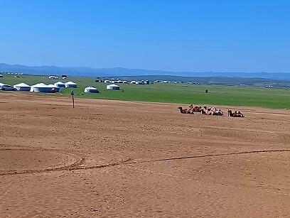 FX855_20260812_OSA260815101955446.jpg