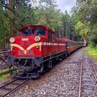 フレンドツアー　関東発　2025年10月26日出発　満喫の台湾縦断5日間（コース番号：FT828）