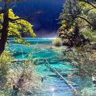 フレンドツアー　関西発　2025年10月12日出発　四川航空利用 九寨溝・黄龍8日間【コースコード：FR874】