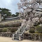 フレンドツアー　関東発　2026年3月30日出発　＜大韓航空利用＞古都・慶州の世界遺産を楽しむ花彩の4日間（コース番号：FK803）