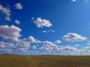FX85_250729TYO_(51).jpg