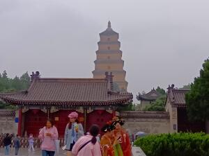 FＲ872_250914TYO_(205).jpg