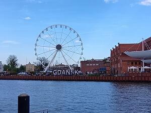 260504003354526.jpg