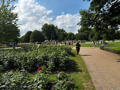 IMG_1073.jpg