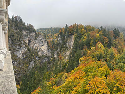 IMG_5329.jpg