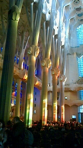 B007_141229_OSA_NEC_0043.jpg