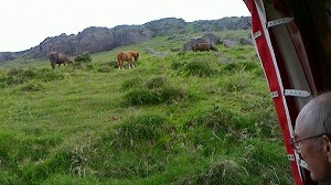 B012 150528 osaNEC_0044.jpg