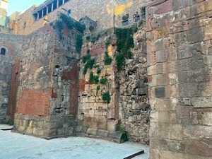 B345_200226_OSA121.jpg