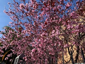 B345_200226_OSA27.jpg