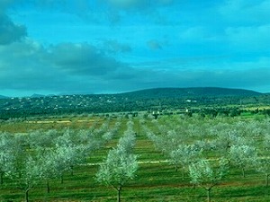B345_200226_OSA73.jpg