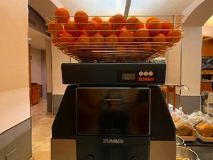B345_200226_OSA95.jpg