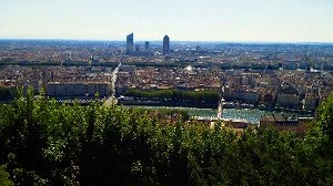 D403 150623 OSANEC_0005.jpg