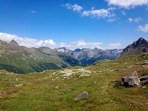 F260_190729_OSA_IMG_20190731_151407.jpg