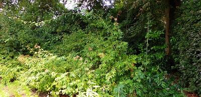 FE007_20250719_OSA_IMG_20250720_154817.jpg