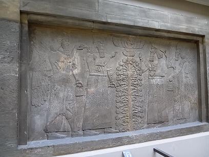 FE007_20260808OSA260811092322085.jpg